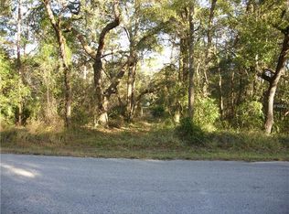 10819 Patrick Ave, Hudson, FL 34669