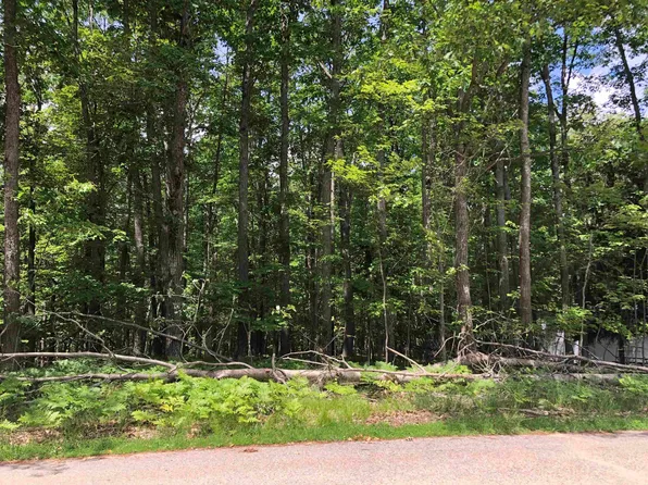 Baric Dr, Roscommon, MI 48653