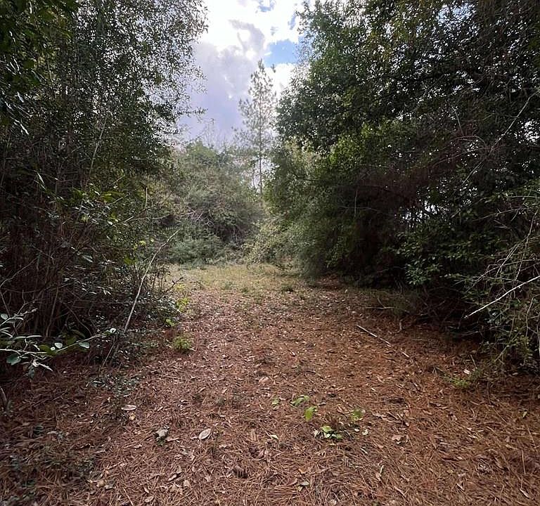 1st image of 15121 State Highway 87 N