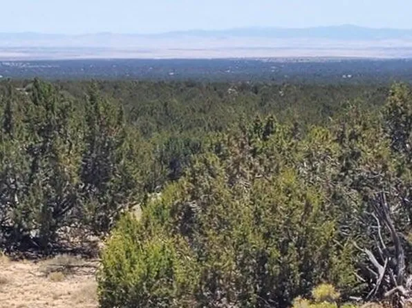 County Road 7111, Saint Johns, AZ 85936