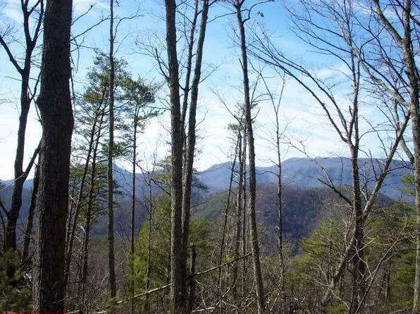 577 Middle Creek Rd, Cosby, TN 37722