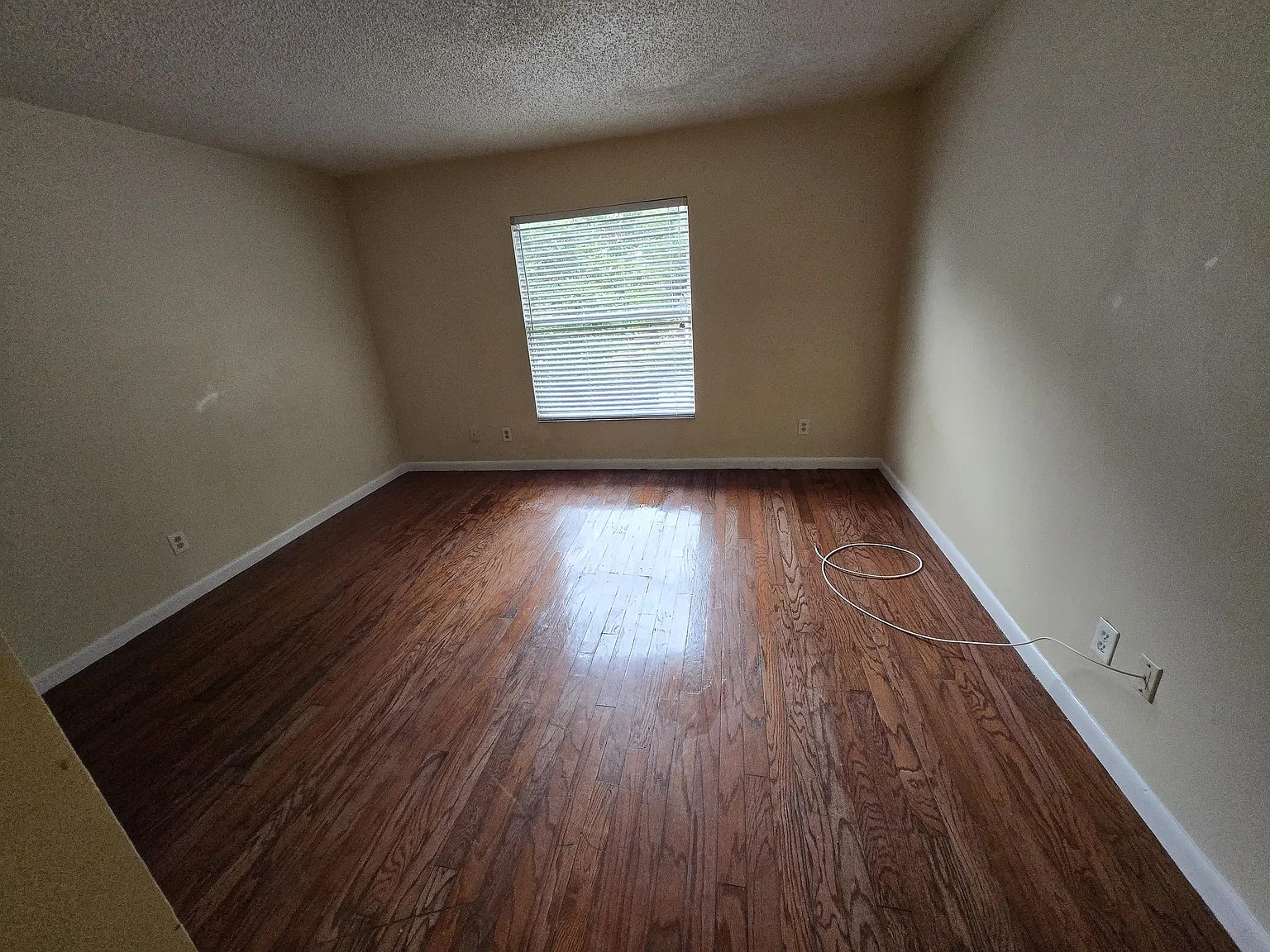 2 bed, 1.5 bath, 994 sqft, $1,480 — Photo 4