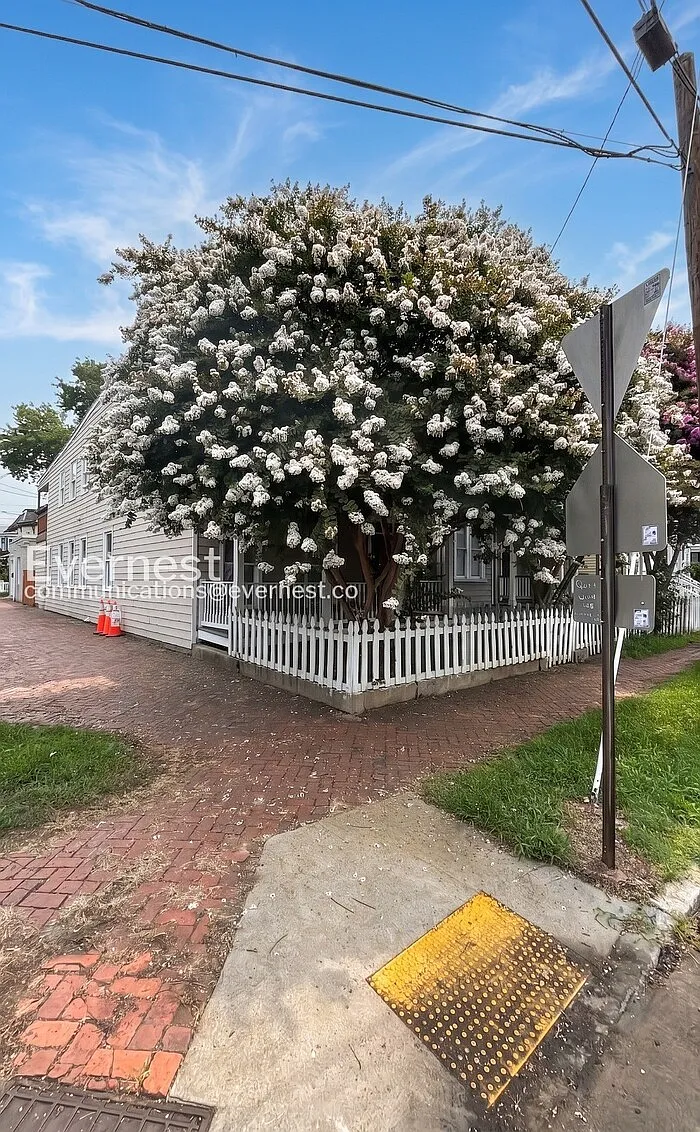 2 bed, 1.0 bath, 1150 sqft, $1,499 — Photo 3