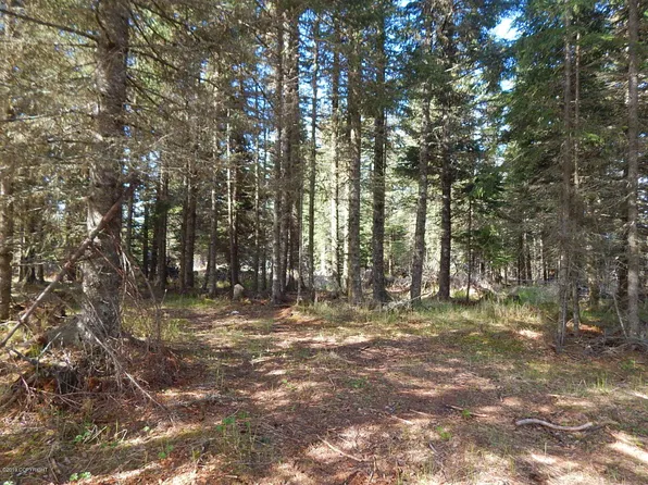 17527 Hyila Ct, Ninilchik, AK 99639