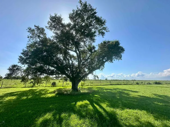 163 Mallard Ln, Cameron, LA 70631