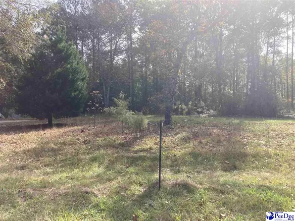 1939 Rolling Acres Dr, Dillon, SC 29536