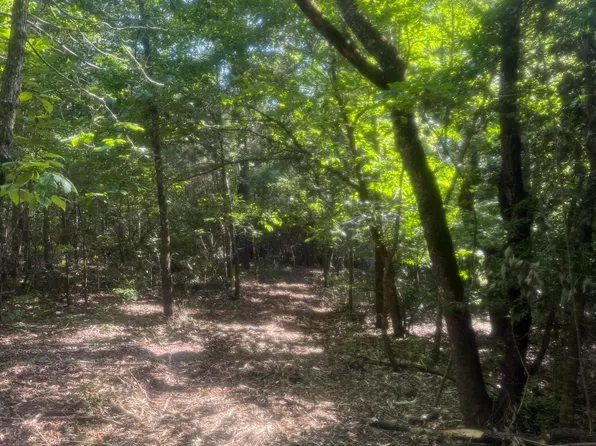 Hhf 1 Old Georgetown Rd W #Hhf-1, Westville, SC 29175