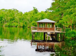 203 Wavebreak Ct, Kingsland, GA 31548