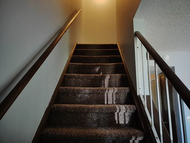 1302 Lucille St — Photo 7