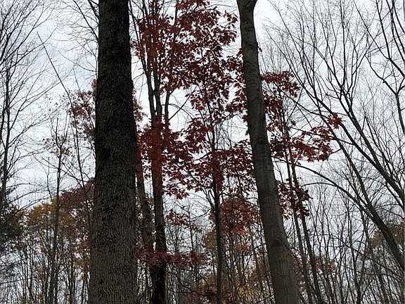 5th image of 2706-2710 State Route 31