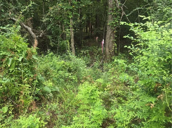 153 S Chestnut Ave, Sweet Water, AL 36782