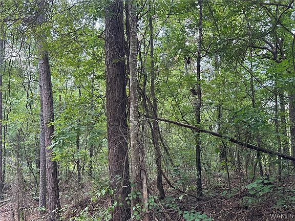 5th image of 0 Rehobeth Rd