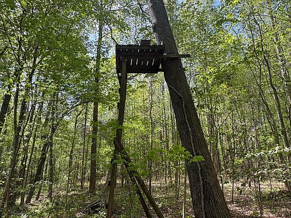 5th image of 7818-1 McGregor Road