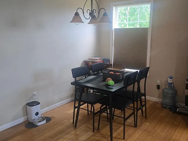 161 Lyle Curtis Cir — Photo 9
