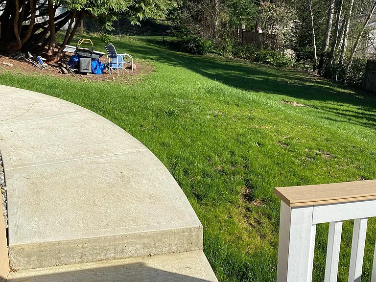 Back walkway from front of house to private entrance in back to lower level. Debris in photo will be cleared prior to move in.