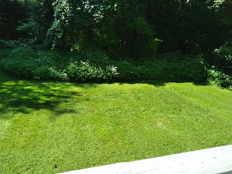 213 Grantwood Dr — Photo 5