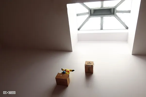 Rented by Citi Habitats | media 23