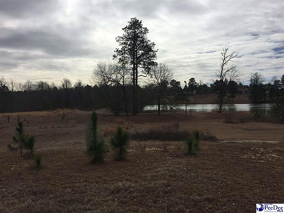 2nd image of N Timberlake Ln
