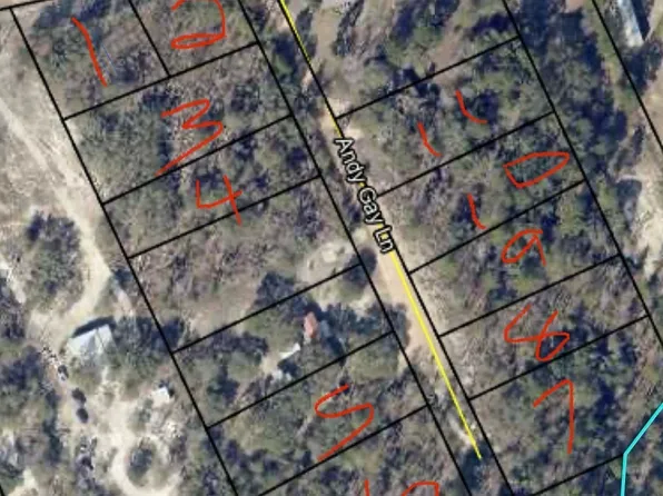 0 Andy Gay Rd, Reidsville, GA 30453