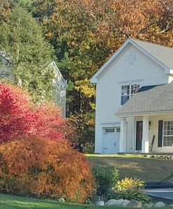 14 Grover Ln, Foxboro, MA, 02035
