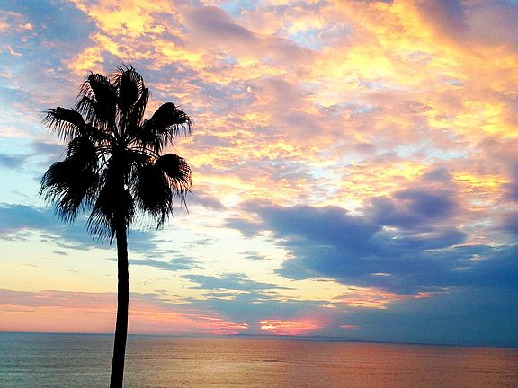 Enjoy gorgeous sunsets and Catalina views