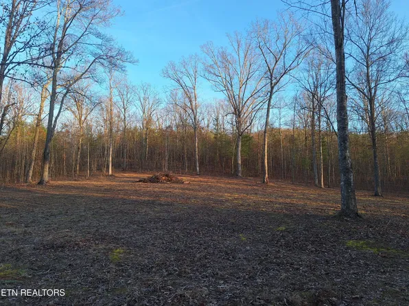 2 Mecca Pike Lot 2, Tellico Plains, TN 37385