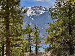 142 La Plata Peak Dr, Twin Lakes, CO 81251
