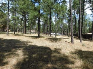 103 Barcus Rd, Ruidoso, NM 88345