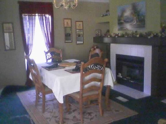 Dinning Room Dual Fireplace to Familyroom Never Used 