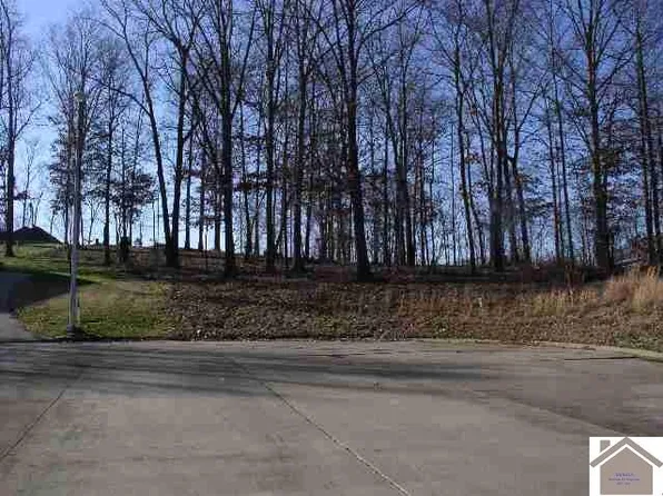 LOT 25 & Half Of 24 Eagle Drive West 1/2 #The, Benton, KY 42025