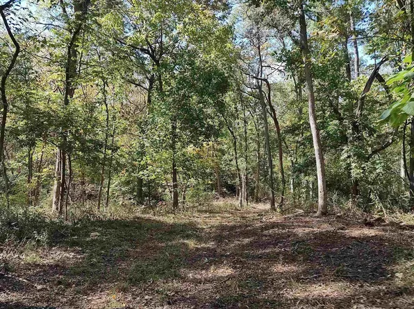 000 Timberwood, Lincoln, MO 65338