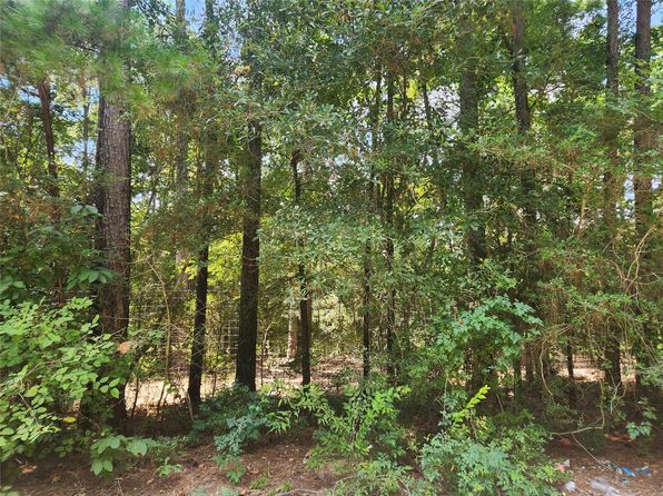 1021 Mossyknoll Dr, Plantersville, TX 77363
