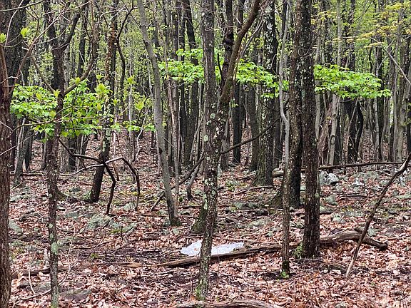 5th image of 0 Stony Hollow Cir