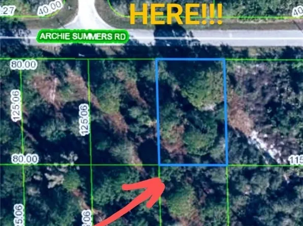 1206 Archie Summers Rd, Lake Placid, FL 33852