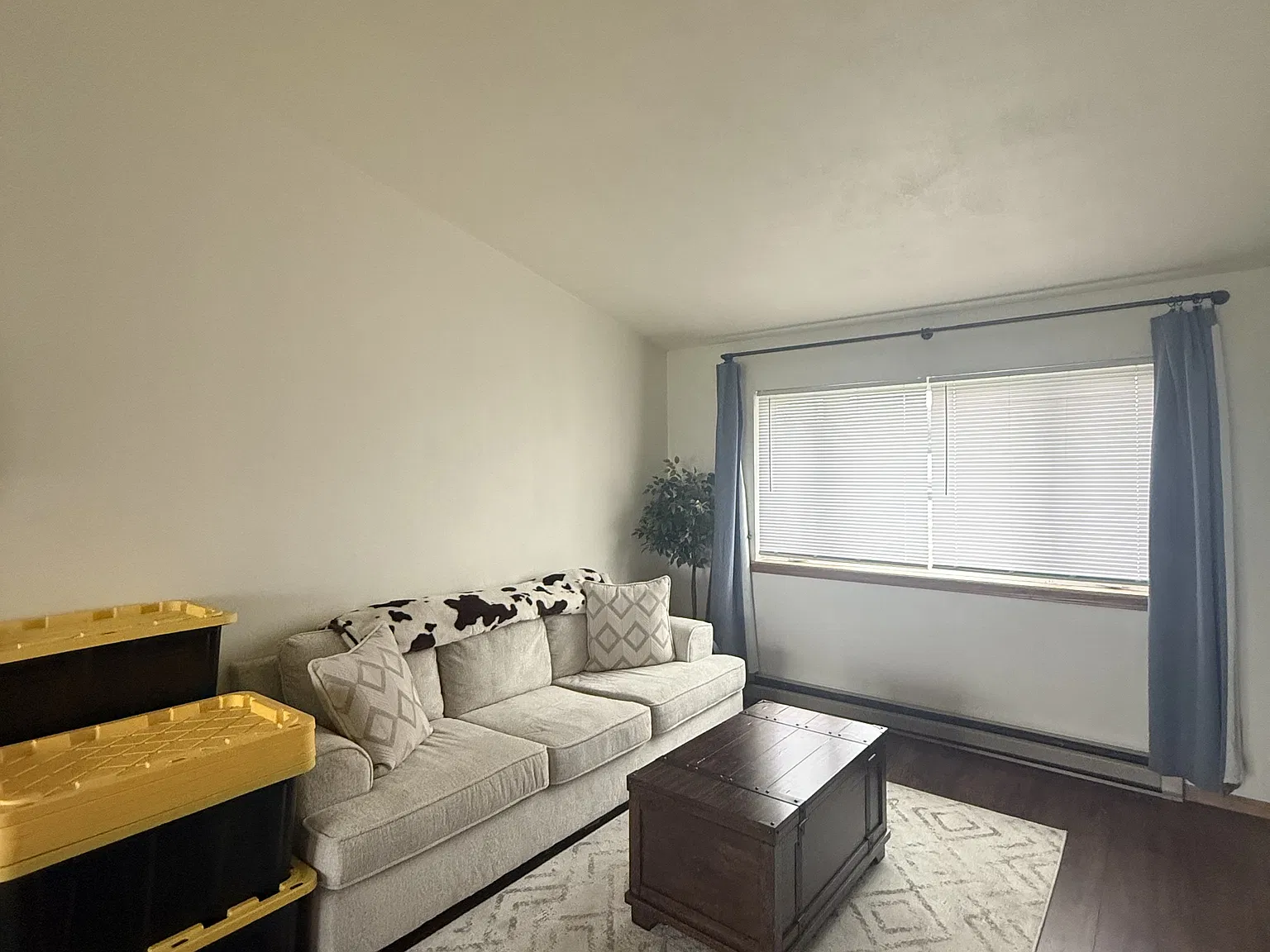 3801 Western Dr - 3801 — Photo 3