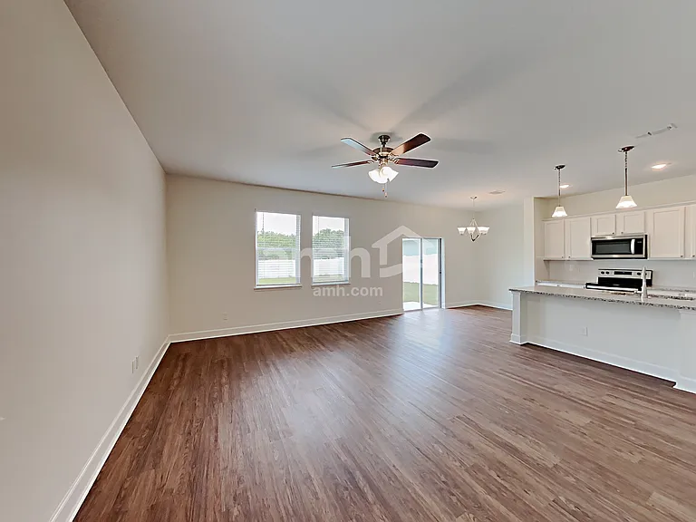 1397 Celery Palm Cv — Photo 8
