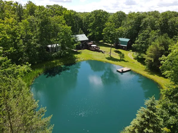6891 Mount Monroe Rd, Cuba, NY 14727