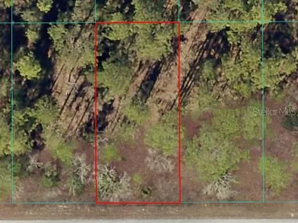 NW Amberjack Ave Lot 64, Dunnellon, FL 34431
