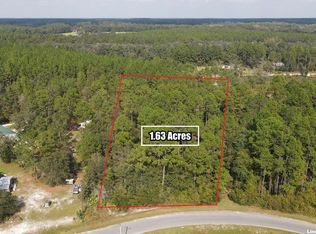 6913 Greenfield Rd, Blackshear, GA 31516