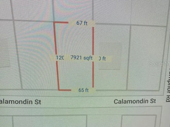 Calamondin St Lot 11, Lady Lake, FL 32159
