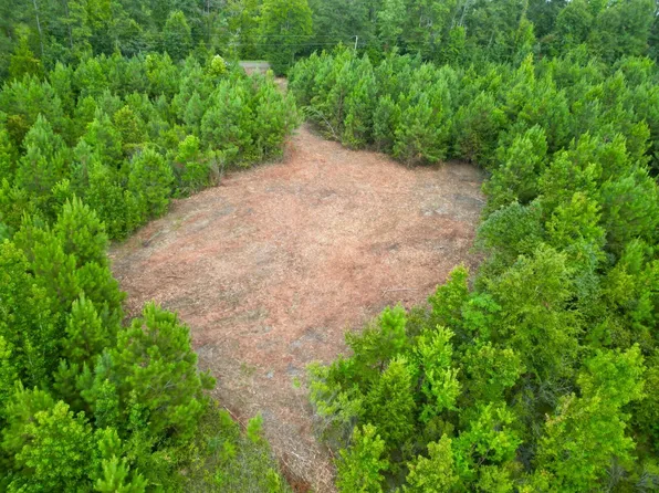 6 County Road 1174 #6, Goshen, AL 36035