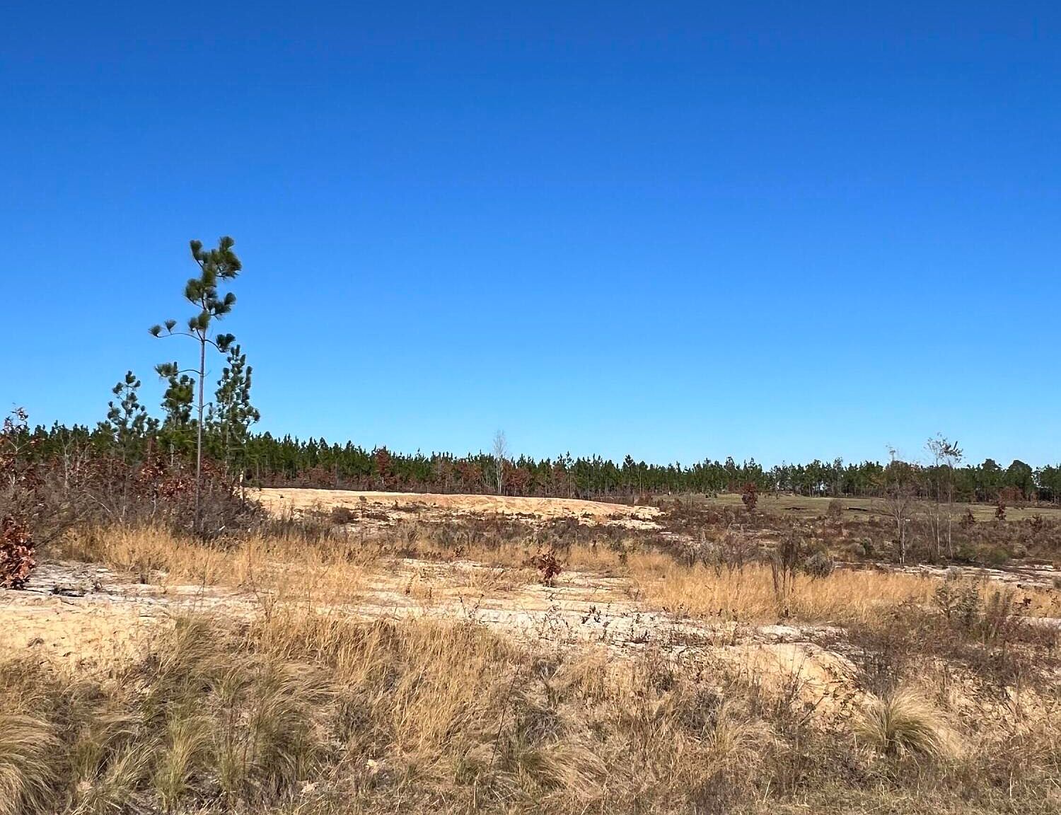 0 Old Chalk Bed Rd 13, Batesburg, SC 29006 Zillow