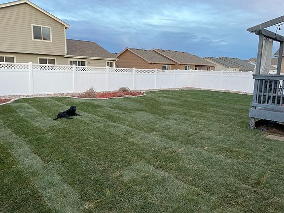 Backyard - Summer