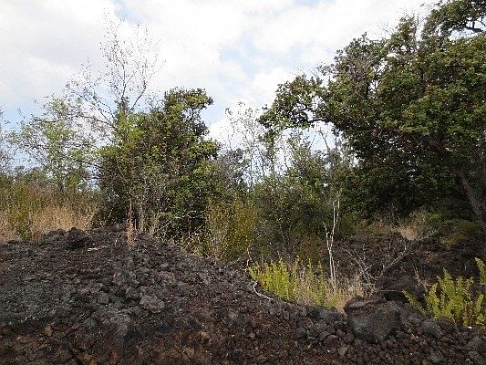 1st image of King Kamehameha Blvd Lot 18