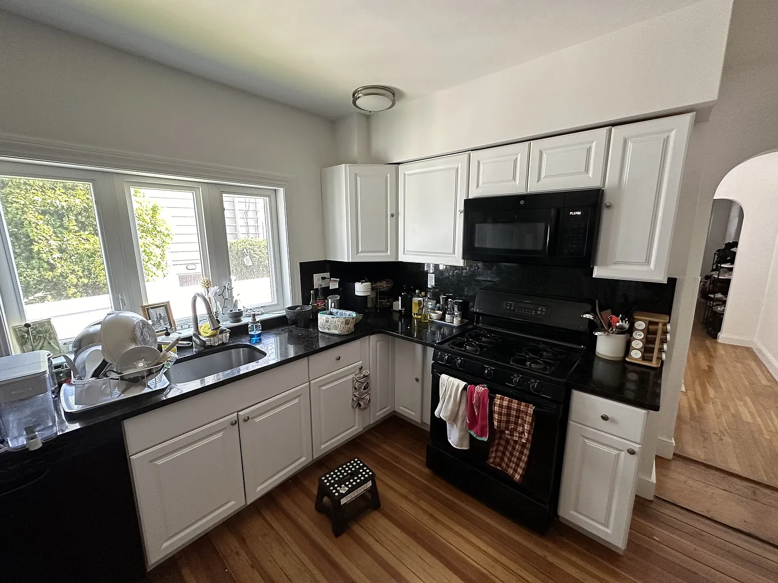 3 bed, 900 sqft, $3,050 — Photo 2