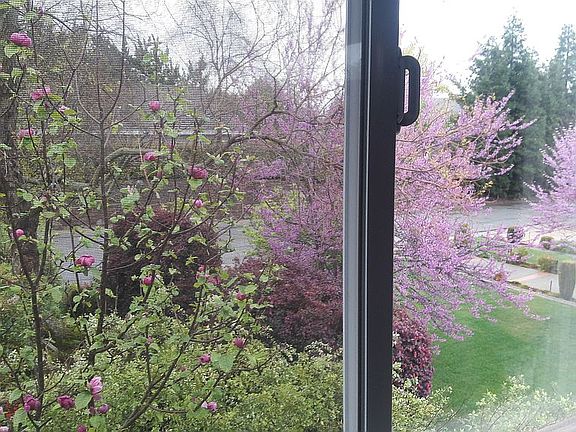4th bedroom view