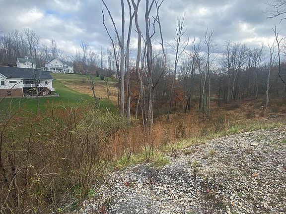 4th image of Lot #11 Oglebay Meadows