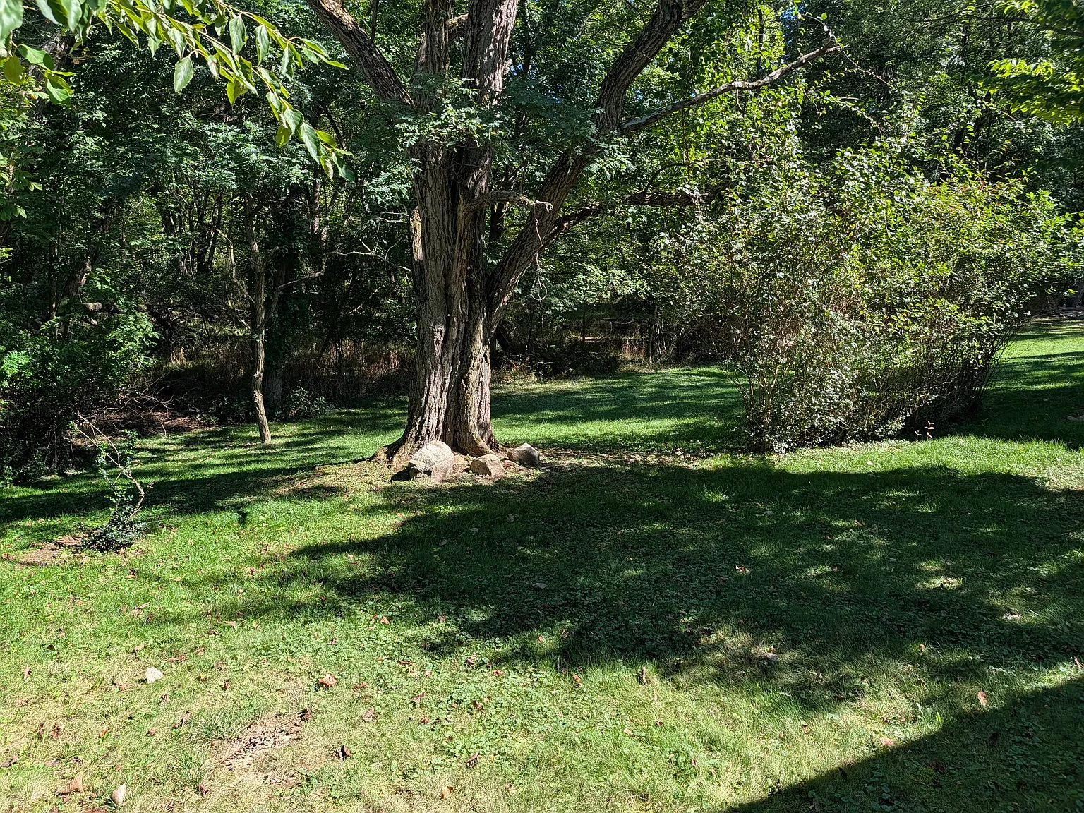 3 bed, 2676 sqft, $2,200 — Photo 3