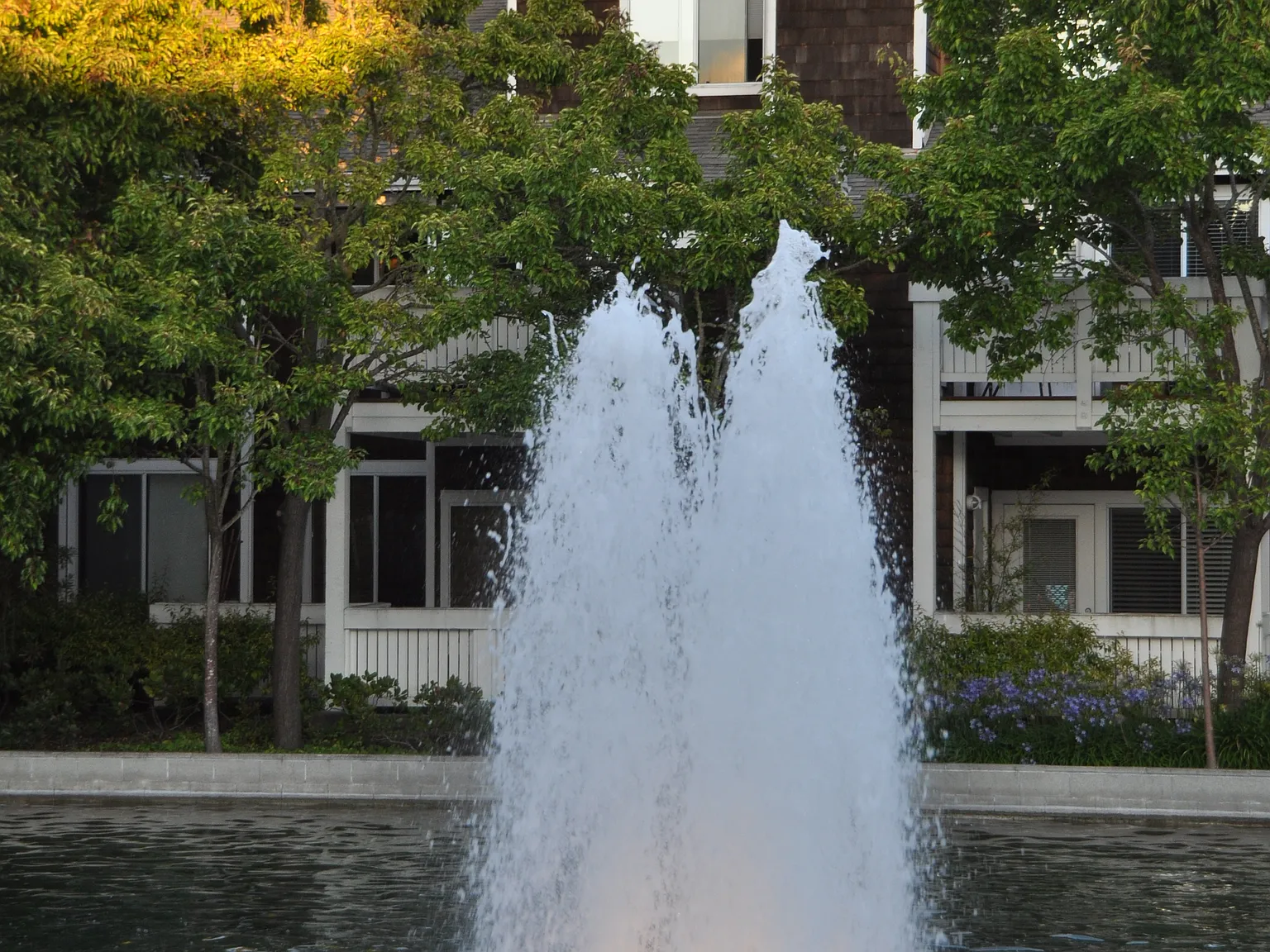 1 bed, 771 sqft, $2,495 — Photo 2