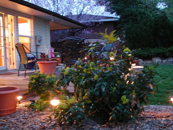 Back Deck